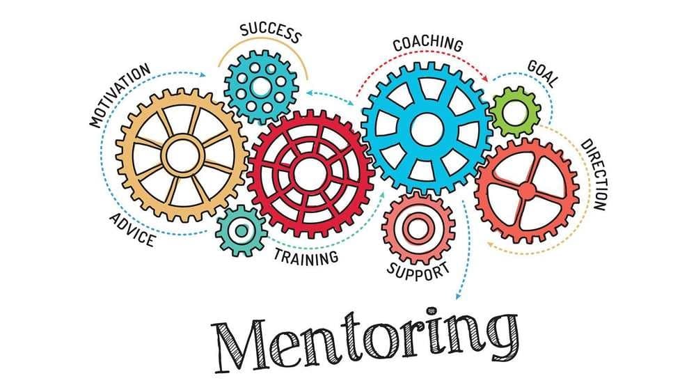 Mentorship Culture